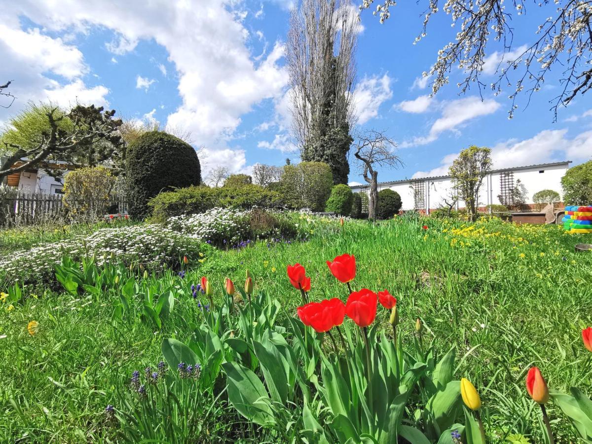 Bohnapartments Ega Stadtblick - Garten - Wlan - Naehe Theater Ega Und Messe Erfurt Esterno foto